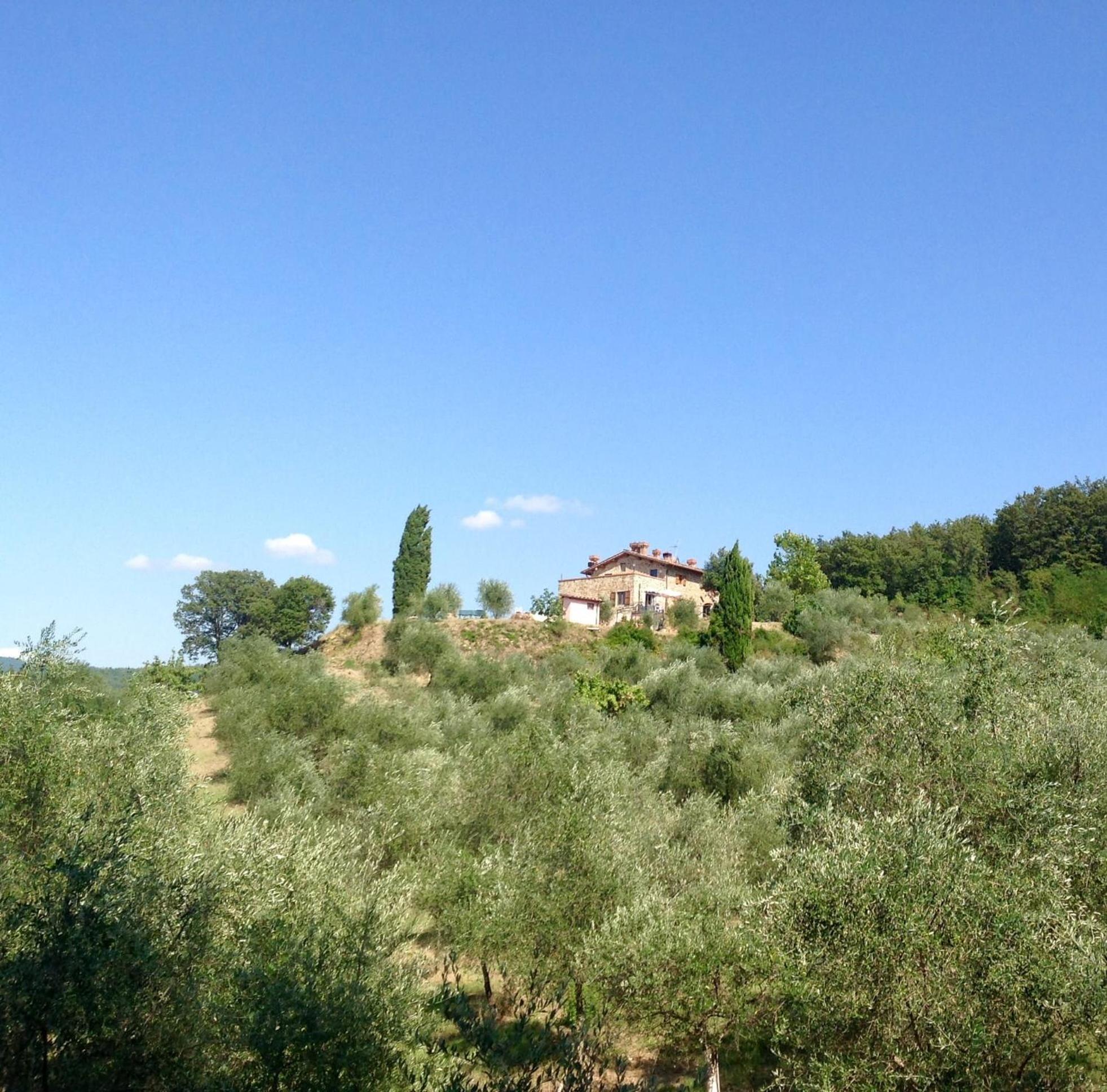 Agriturismo Prato Barone Rufina Екстериор снимка
